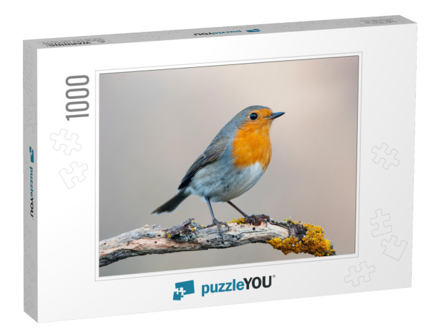 Robin - Erithacus Rubecula, Standing on a Branch... Jigsaw Puzzle with 1000 pieces