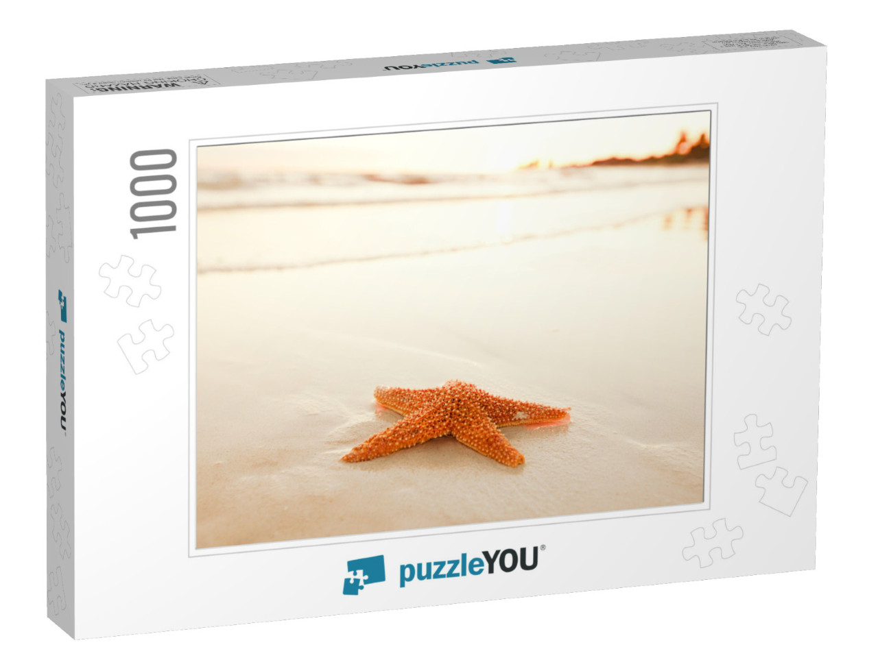 Starfish Shell on Beach in Sunrise Light, Seascape, Live... Jigsaw Puzzle with 1000 pieces