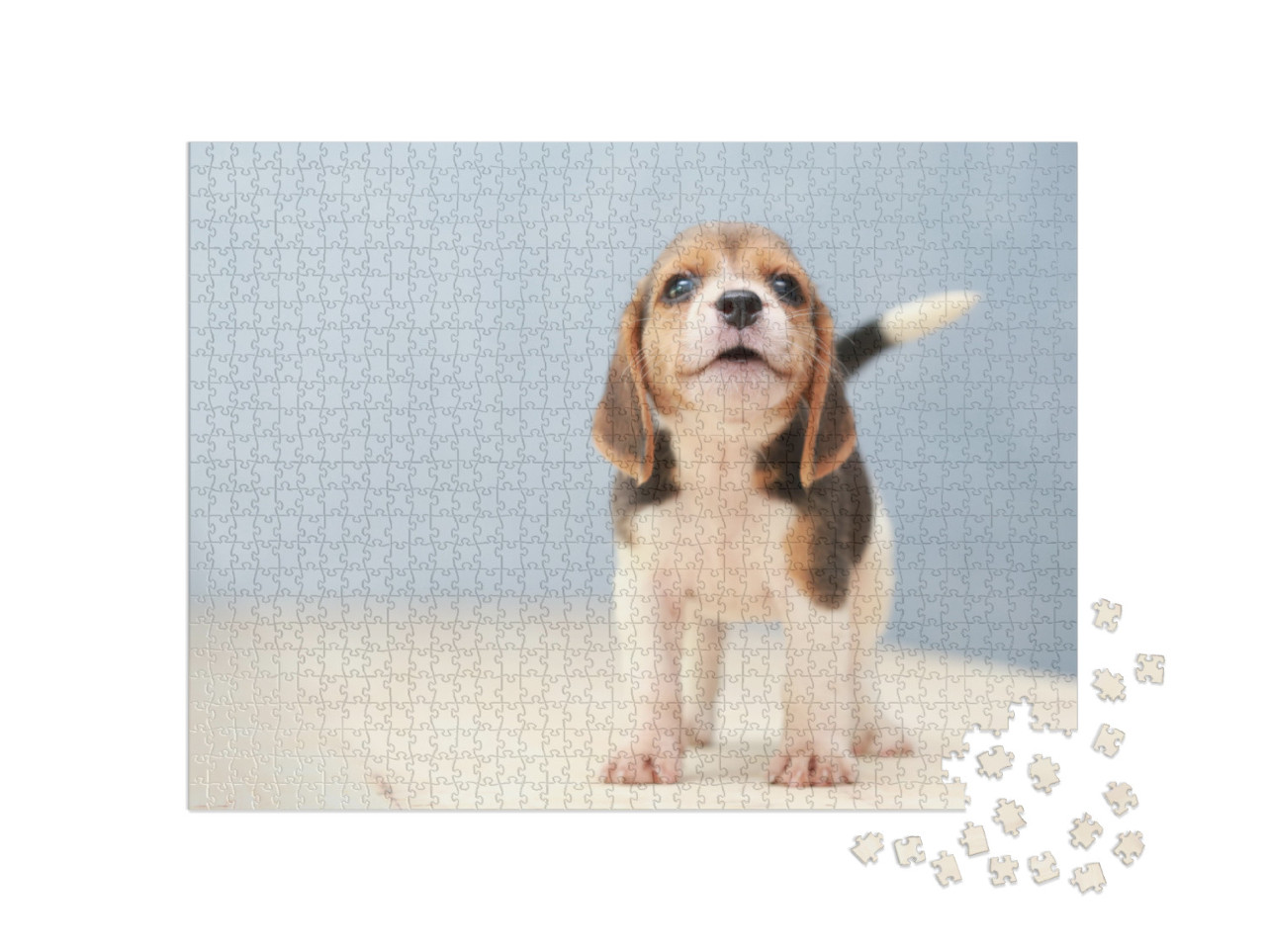 Small Cute Beagle Puppy Dog Looking Up... Jigsaw Puzzle with 1000 pieces