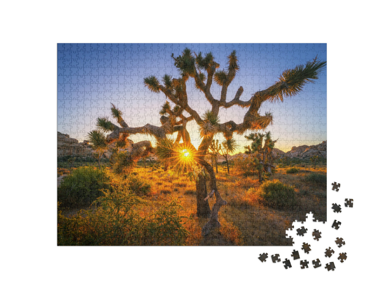 Sunset At Joshua Tree National Park, California in the Us... Jigsaw Puzzle with 1000 pieces