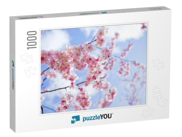 Blooming Sakura with Pink Flowers in Spring... Jigsaw Puzzle with 1000 pieces