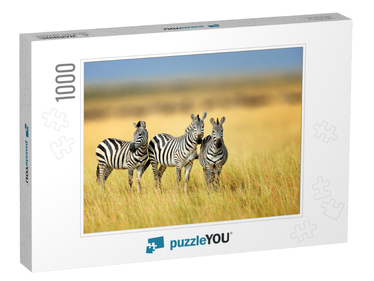 Zebra in the Grass Nature Habitat, National Park of Kenya... Jigsaw Puzzle with 1000 pieces