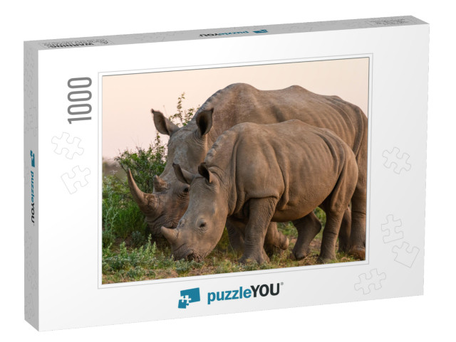 White Rhinoceros or Square-Lipped Rhinoceros Ceratotheriu... Jigsaw Puzzle with 1000 pieces