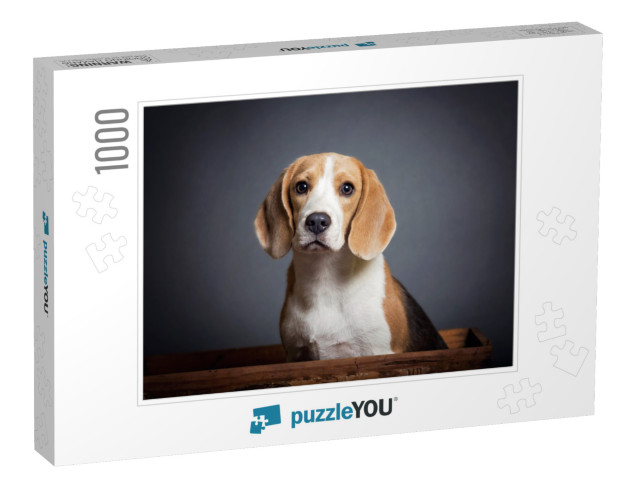 Adorable Portrait of a Blue Beagle Puppy... Jigsaw Puzzle with 1000 pieces