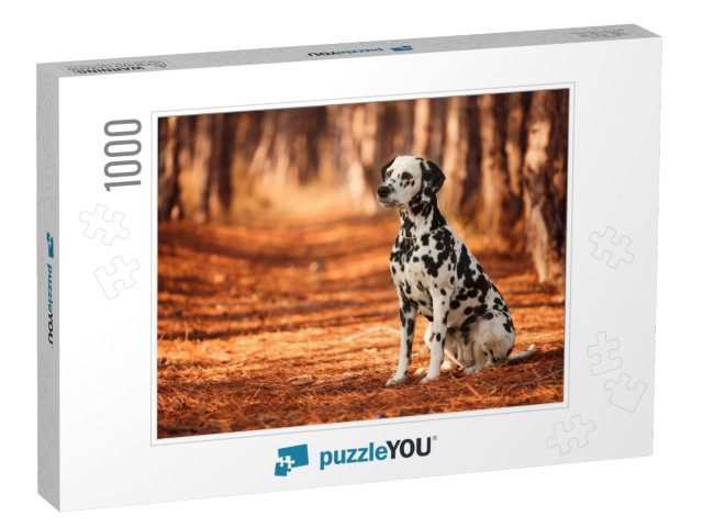 Dog Breed Dalmatian for a Walk... Jigsaw Puzzle with 1000 pieces