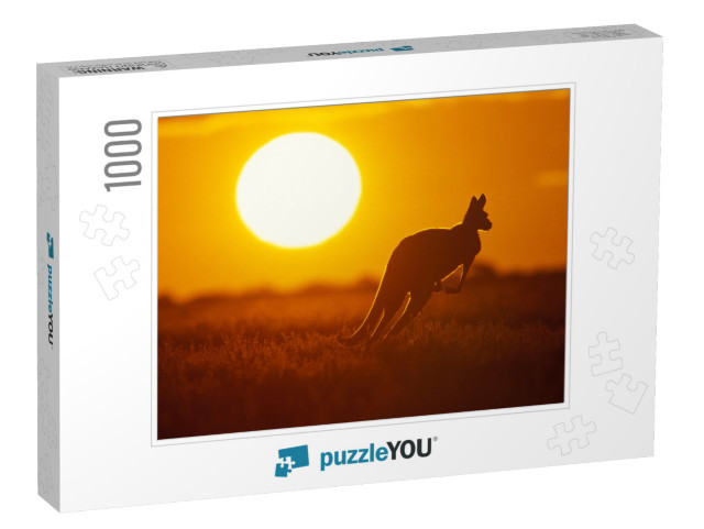 Kangaroo in Sunset in Sturt National Park in the Far West... Jigsaw Puzzle with 1000 pieces