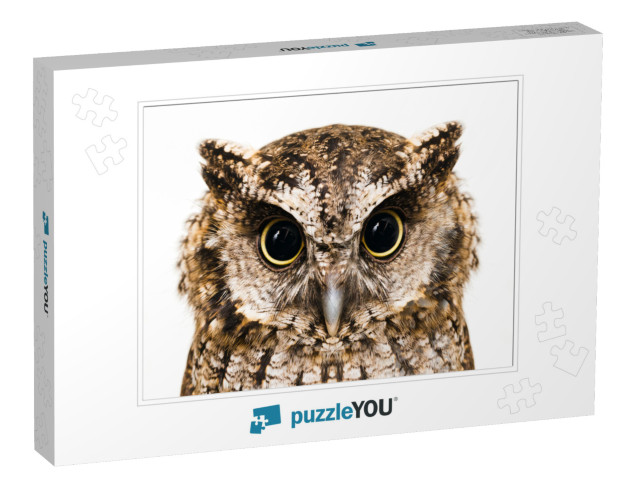 Photo of an Owl in Macro Photography, High Resolution Pho... Jigsaw Puzzle