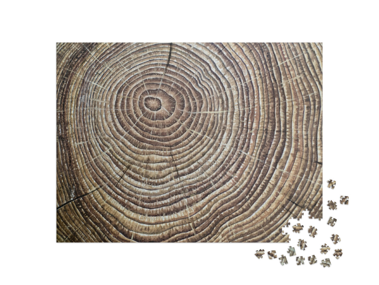 Painted Brown Wooden Annual Rings... Jigsaw Puzzle with 1000 pieces