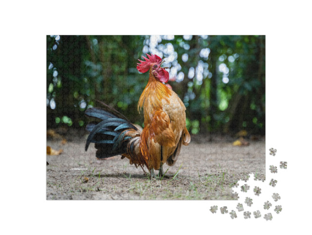 Rooster Crows. Big Rooster Crowing on the Ground of Farm... Jigsaw Puzzle with 1000 pieces