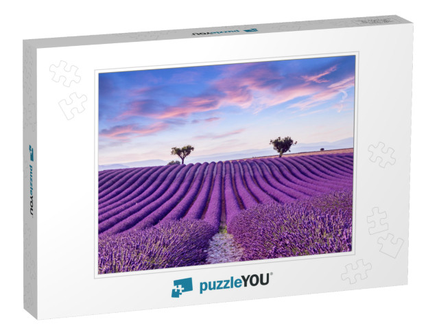 Lavender Field Summer Sunset Landscape Near Valensole. Pr... Jigsaw Puzzle