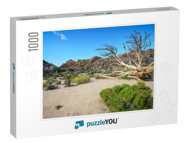 Hiking the Hidden Valley Trail in Joshua Tree National Pa... Jigsaw Puzzle with 1000 pieces