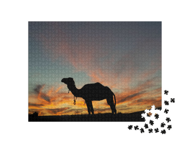 Dromedar Silhouette in a Beautiful Desert Evening... Jigsaw Puzzle with 1000 pieces