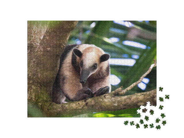 Tree Anteater Costa Rica Wild... Jigsaw Puzzle with 1000 pieces