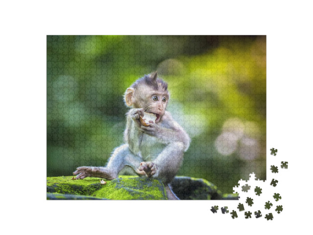 Little Baby-Monkey in Monkey Forest of Ubud, Bali, Indone... Jigsaw Puzzle with 1000 pieces