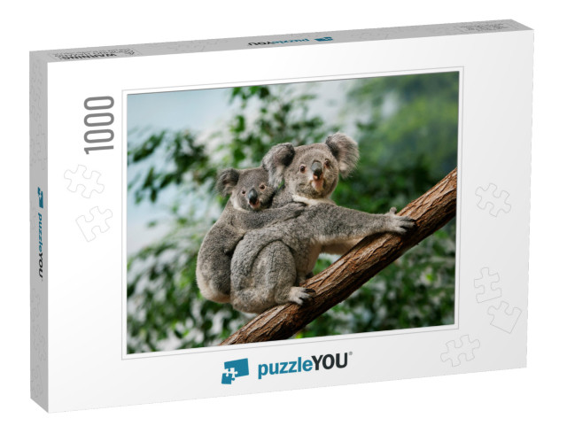 Koala, Phascolarctos Cinereus, Female Carrying Young on I... Jigsaw Puzzle with 1000 pieces