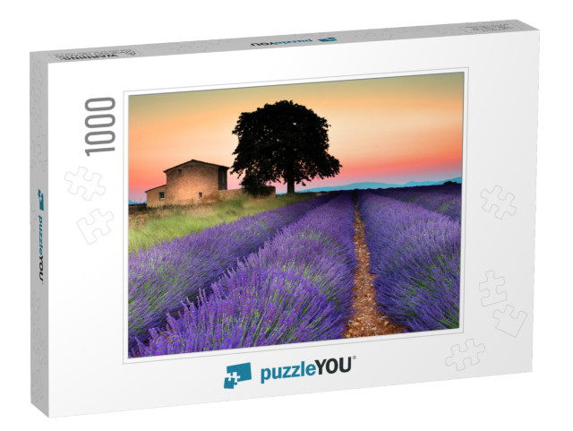 Summer Sunset in Valensole. Provence, France... Jigsaw Puzzle with 1000 pieces