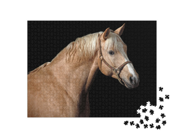 Palomino Horse... Jigsaw Puzzle with 1000 pieces