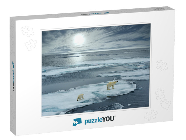 Polar Bear Sow & Cub Walk on Ice Floe in Norwegian Arctic... Jigsaw Puzzle