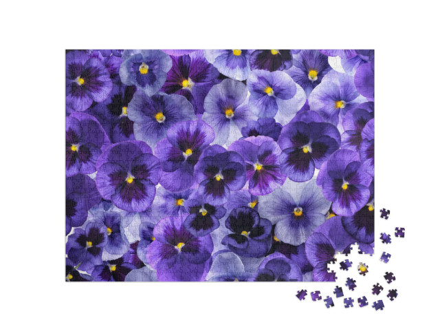 Photographed Fresh Purple Viola Flowers, Covering Complet... Jigsaw Puzzle with 1000 pieces