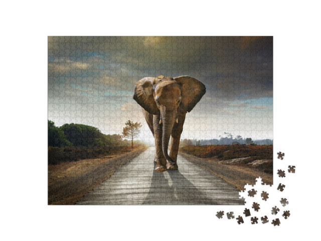 Single Elephant Walking in a Road with the Sun from Behin... Jigsaw Puzzle with 1000 pieces