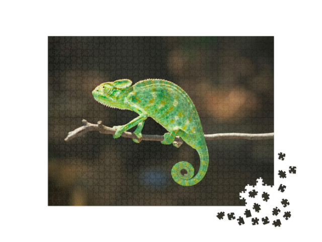 South Asian Chamaeleon, Chamaeleo Zeylanicus... Jigsaw Puzzle with 1000 pieces