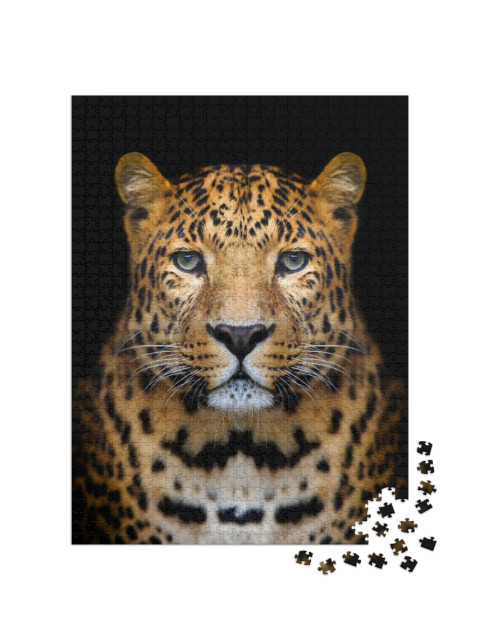 Close-Up Leopard Portrait on Dark Background... Jigsaw Puzzle with 1000 pieces