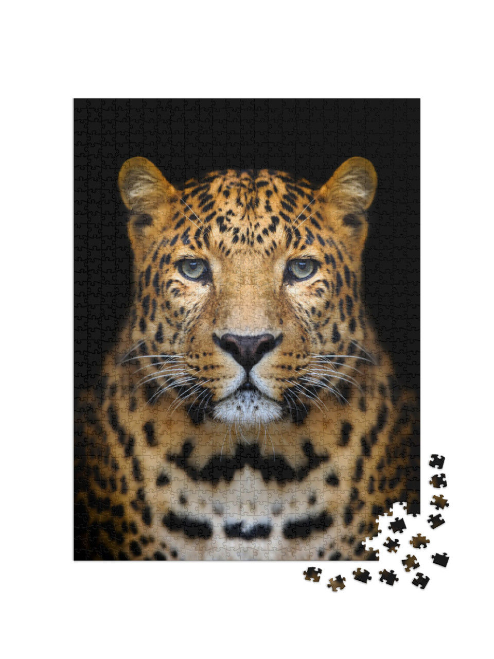 Close-Up Leopard Portrait on Dark Background... Jigsaw Puzzle with 1000 pieces