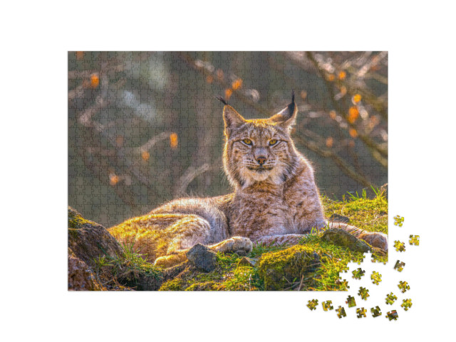 Cute Young Lynx in the Colorful Wilderness Forest... Jigsaw Puzzle with 1000 pieces