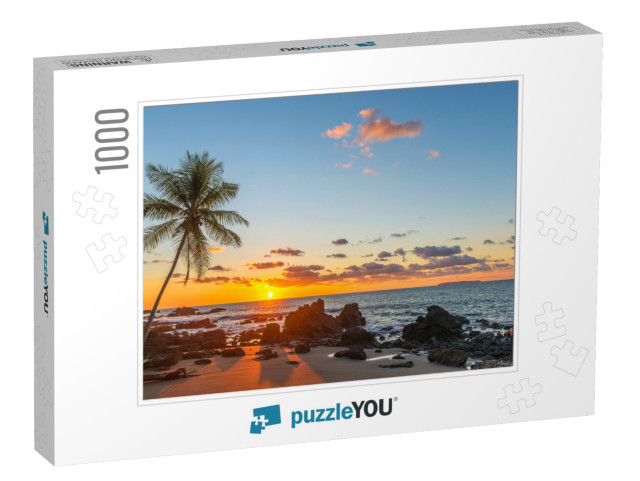 Silhouette of a Palm Tree & a Sand Beach Inside Corcovado... Jigsaw Puzzle with 1000 pieces