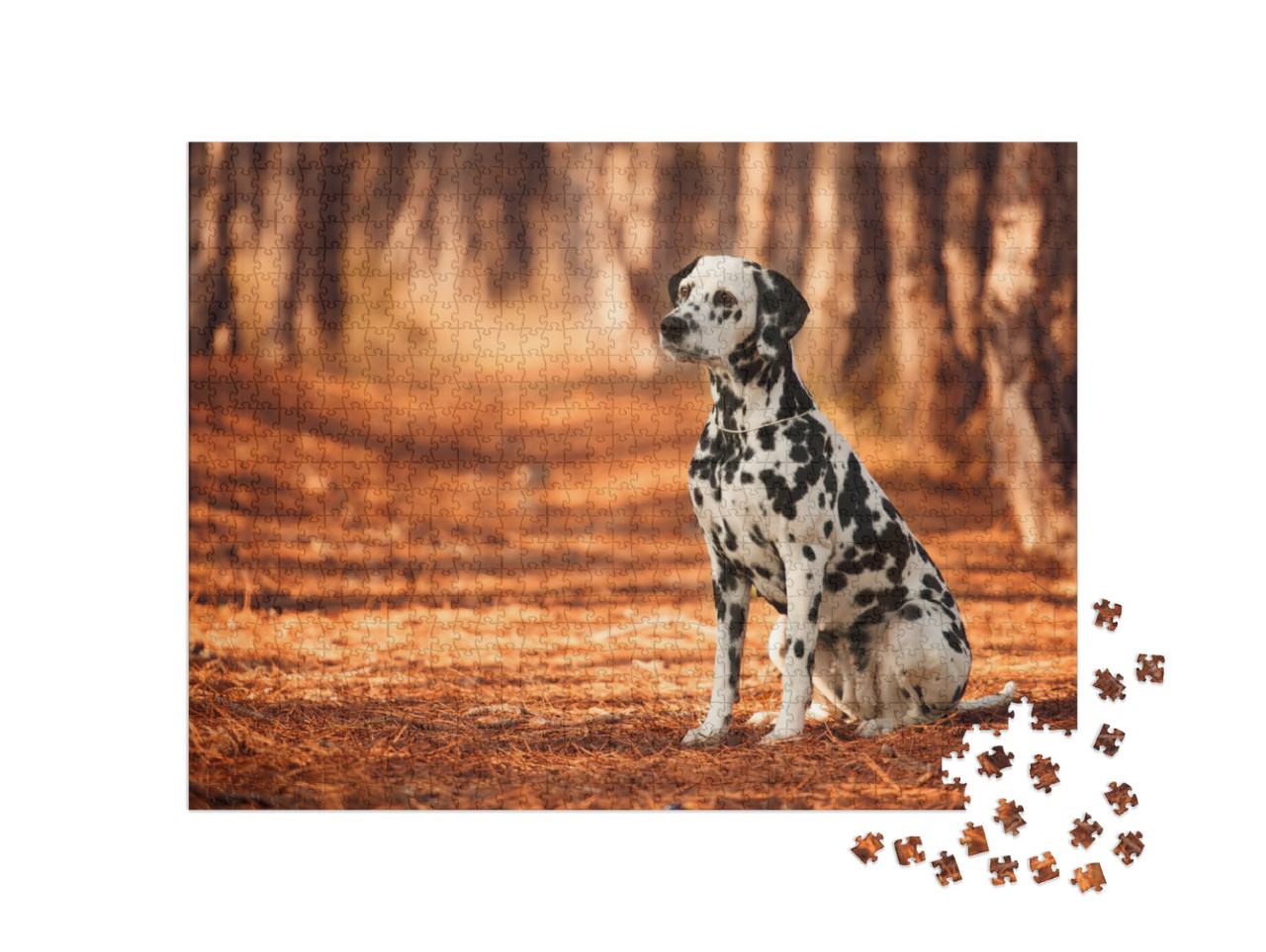 Dog Breed Dalmatian for a Walk... Jigsaw Puzzle with 1000 pieces