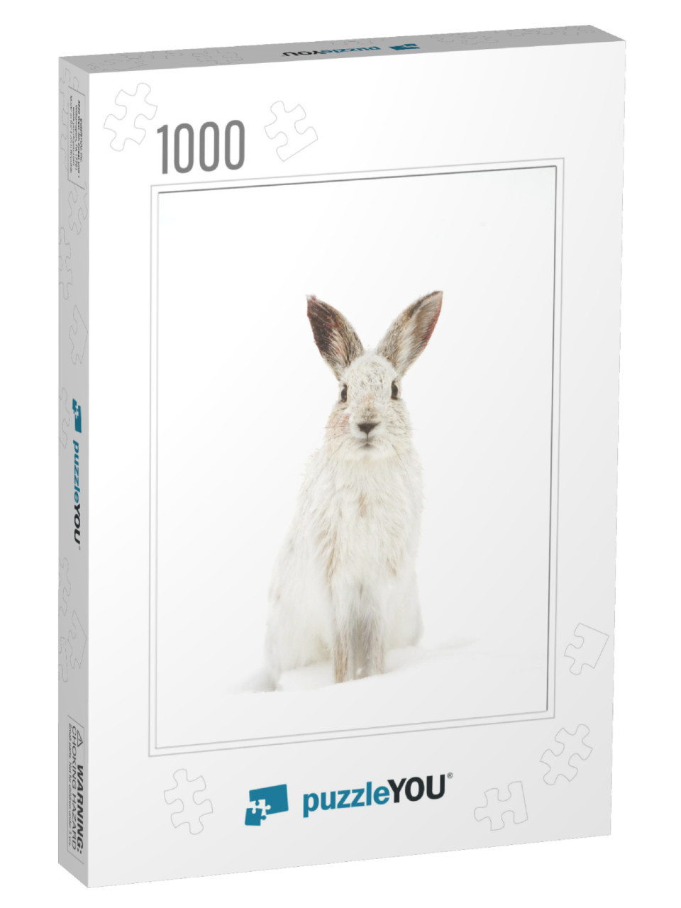 White Snowshoe Hare or Varying Hare Isolated on White Bac... Jigsaw Puzzle with 1000 pieces