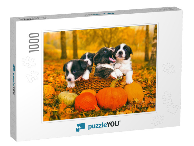 Funny Happy Welsh Corgi Pembroke Puppies Dogs Posing in t... Jigsaw Puzzle with 1000 pieces