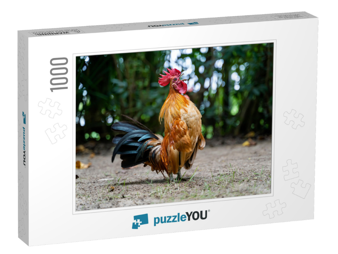 Rooster Crows. Big Rooster Crowing on the Ground of Farm... Jigsaw Puzzle with 1000 pieces