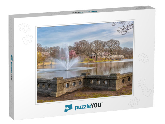 The Fountain & Cherry Blossom Trees of Branch Brook Park... Jigsaw Puzzle