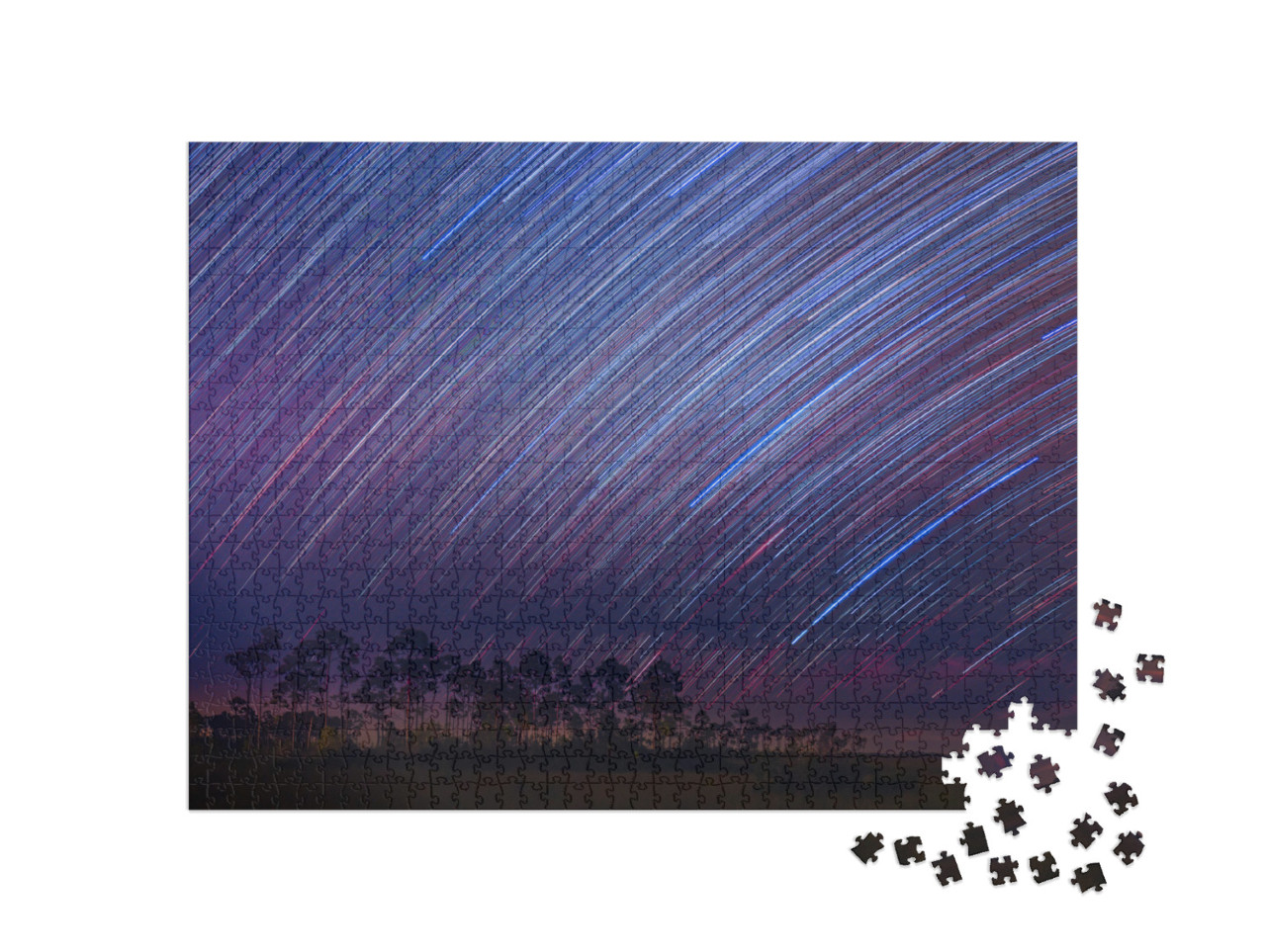 Star Trails Shooting Stars At Everglades National Park by... Jigsaw Puzzle with 1000 pieces