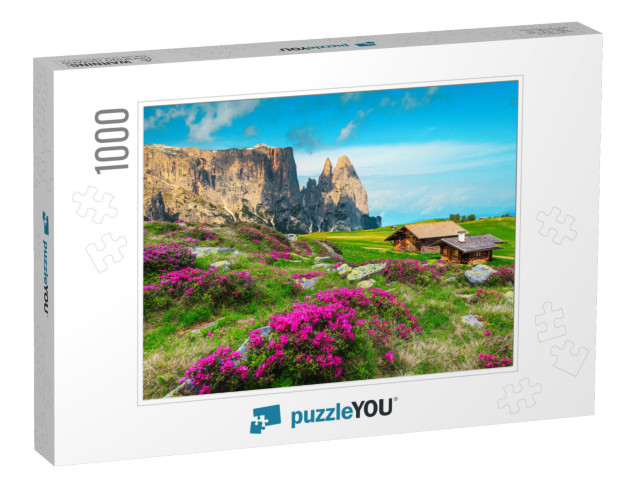 Alpe Di Siusi Mountain Resort with Amazing Flowery Fields... Jigsaw Puzzle with 1000 pieces