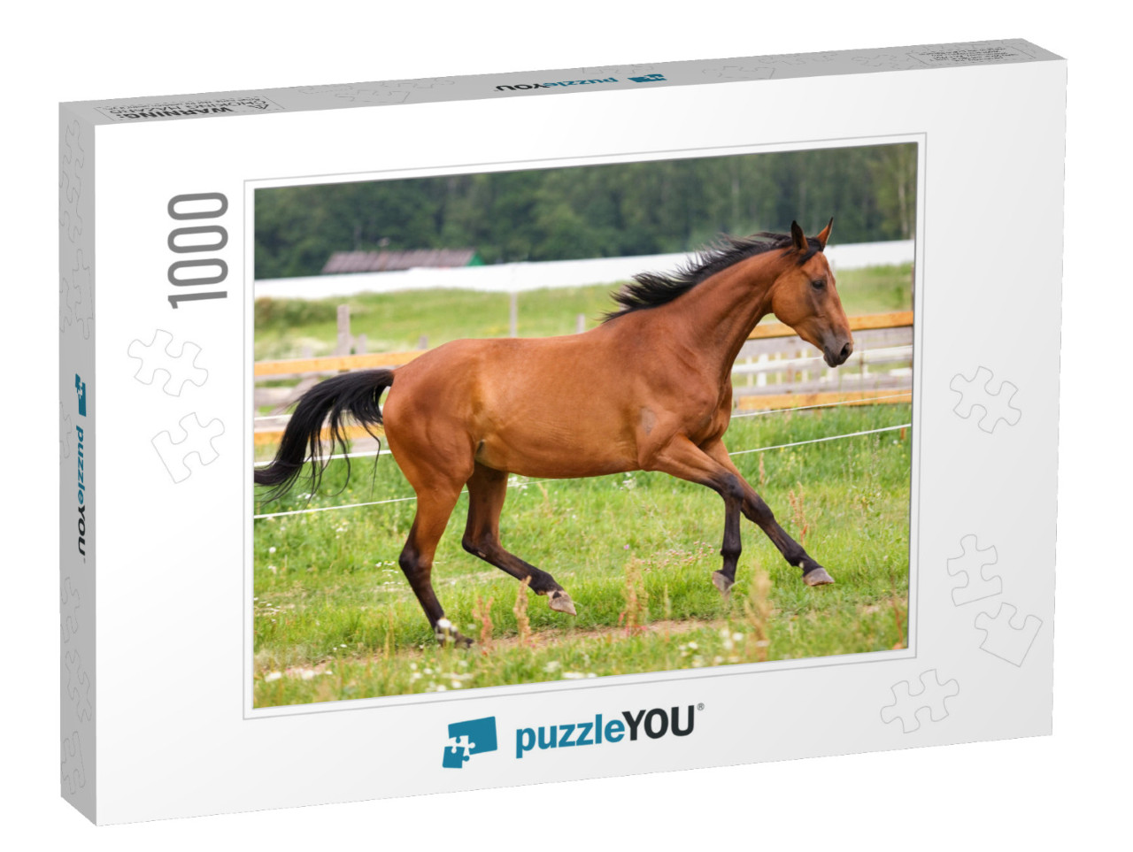 Horse Walking on Grass Field... Jigsaw Puzzle with 1000 pieces