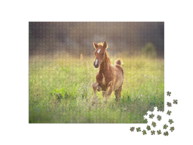 Beautiful Red Foal Run & Fun on Spring Green Sunrise Fiel... Jigsaw Puzzle with 1000 pieces