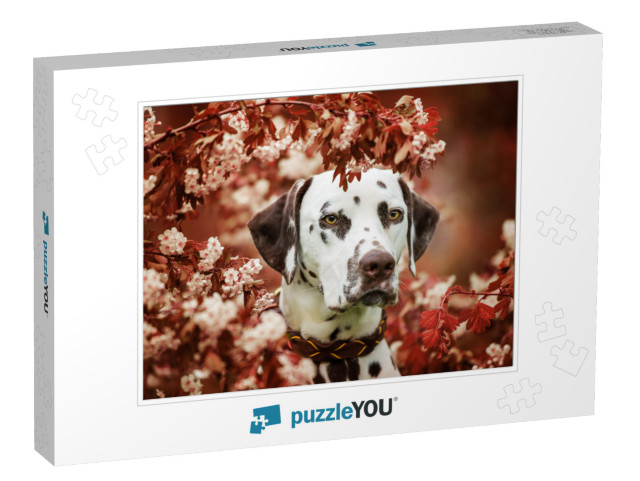 Dalmatian Dog Sitting Under a Hawthorn... Jigsaw Puzzle