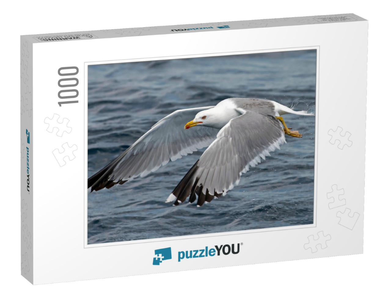 Seagull Outdoor Sea Fly Freedom... Jigsaw Puzzle with 1000 pieces