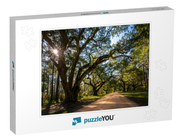 Live Oak Trees Grow Rapidly When They Are Young. These Tr... Jigsaw Puzzle