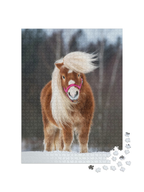 Beautiful Miniature Shetland Breed Pony Stallion with Lon... Jigsaw Puzzle with 1000 pieces