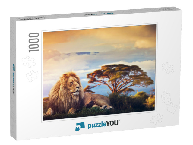 Lion Lying in Grass on Savanna. Sunset Over Mount Kiliman... Jigsaw Puzzle with 1000 pieces