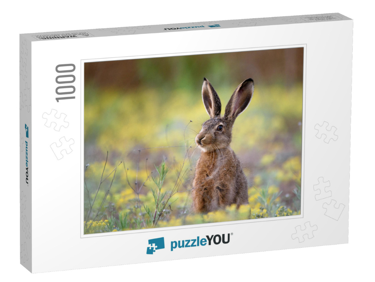 European Hare Stands in the Grass & Looking At the Camera... Jigsaw Puzzle with 1000 pieces