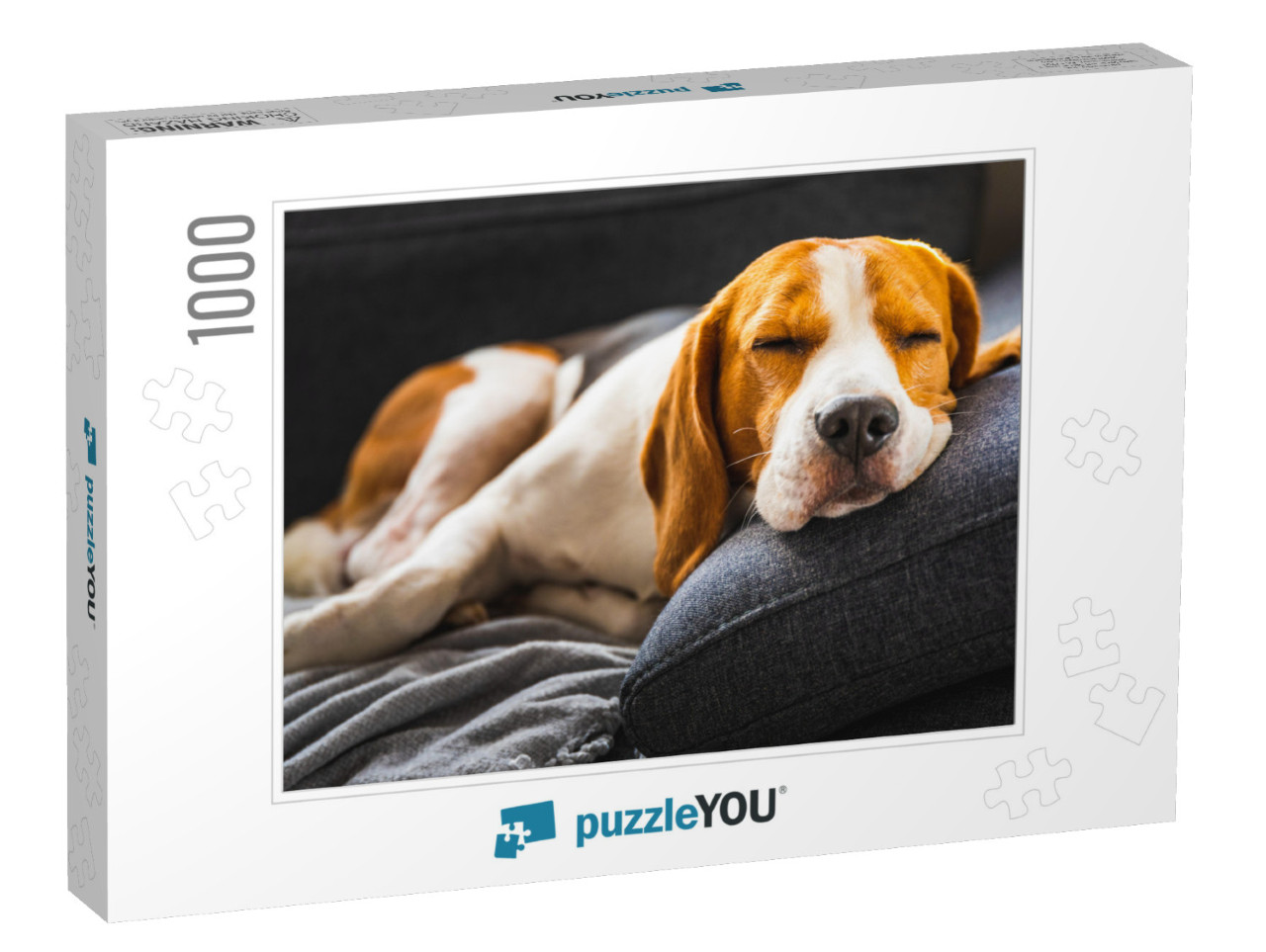 Adorable Beagle Hound in Bright Interior Background. a Pe... Jigsaw Puzzle with 1000 pieces