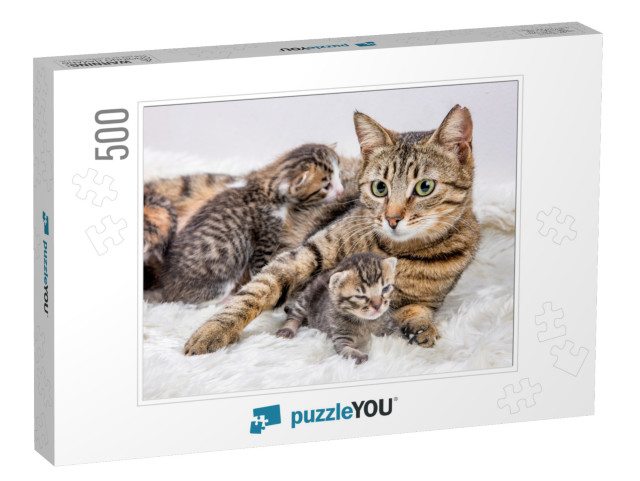 Mom Mother Cat & Baby Cat Kitten... Jigsaw Puzzle with 500 pieces