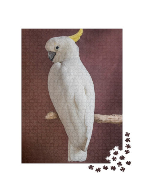 White Parrot on a Branch... Jigsaw Puzzle with 1000 pieces