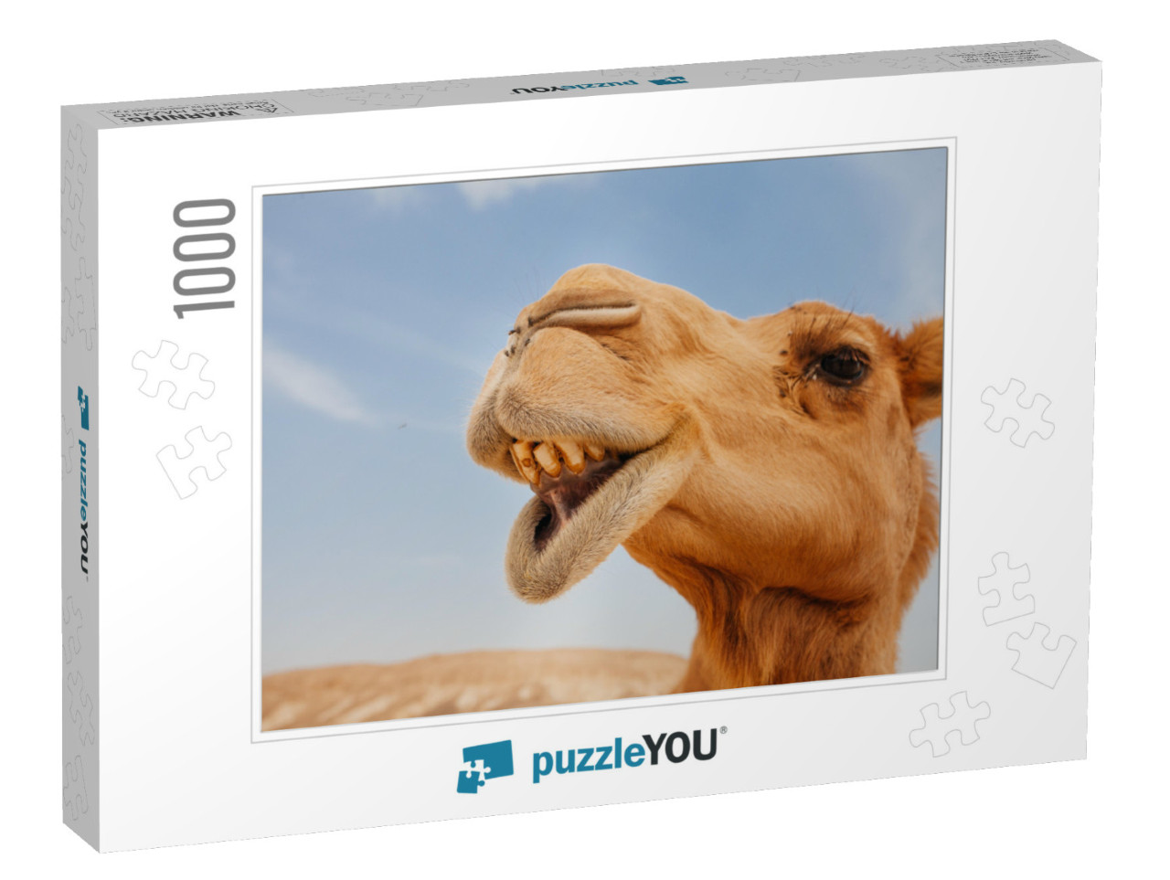 Camel in Israel Desert, Funny Close Up... Jigsaw Puzzle with 1000 pieces