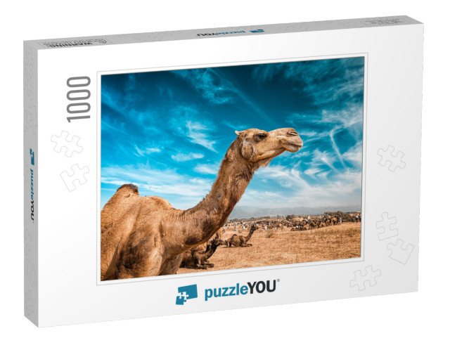 Camel At Pushkar Mela - Famous Annual Camel & Livestock F... Jigsaw Puzzle with 1000 pieces