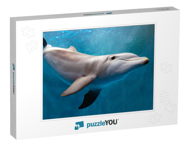 Dolphin Underwater on Blue Ocean Background Looking At Yo... Jigsaw Puzzle